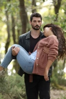 Безграничная любовь - постер сериала